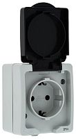 Розетка 1-местная ОП 16А с/з с крышкой с защ.шторками IP54 серый "Дабрабыт" КС 74843 