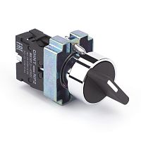 Переключатель NP2-BD21, 2 положения с фиксацией 1HO IP40 (CHINT) арт.574847